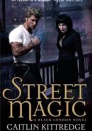 Street Magic epub